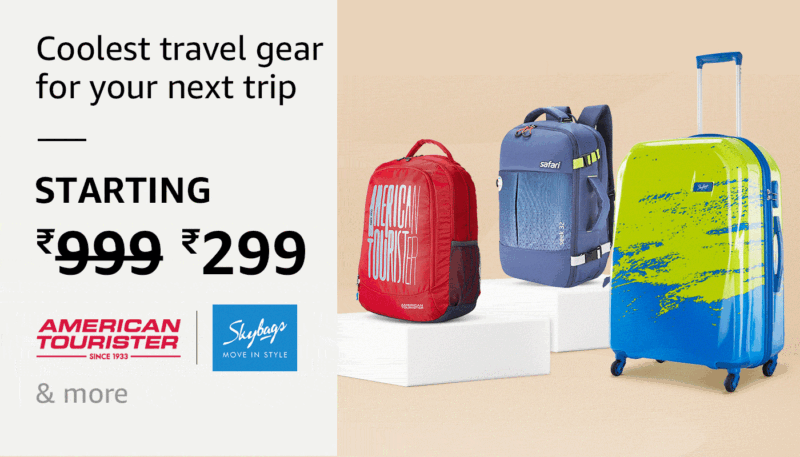  travel bags under 299