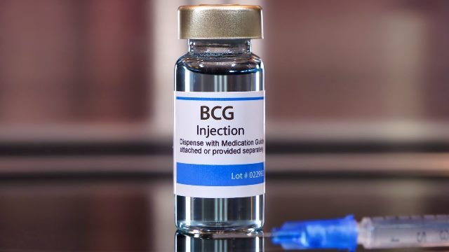 BCG vaccine covid 19 prevention old people