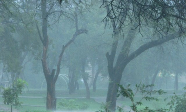 monsoon-odisha