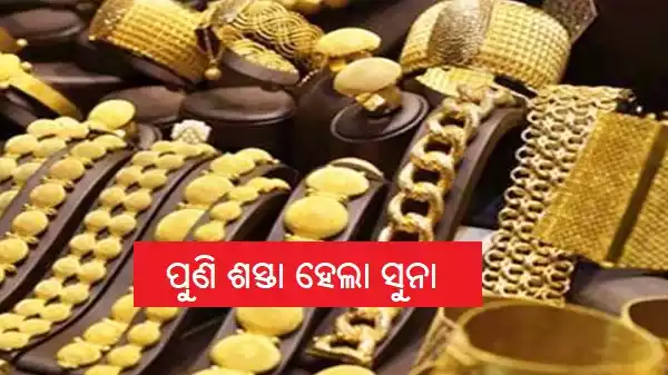 Gold Price Today odisha ସୁନା ଦର